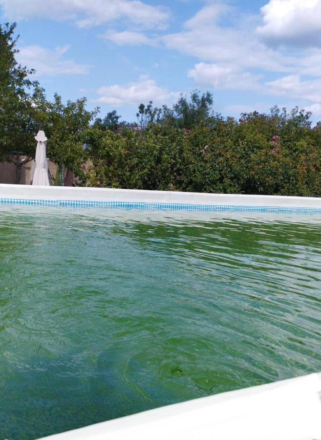 Baza Otdyha Primor'E Hotell Primorskoje Exteriör bild