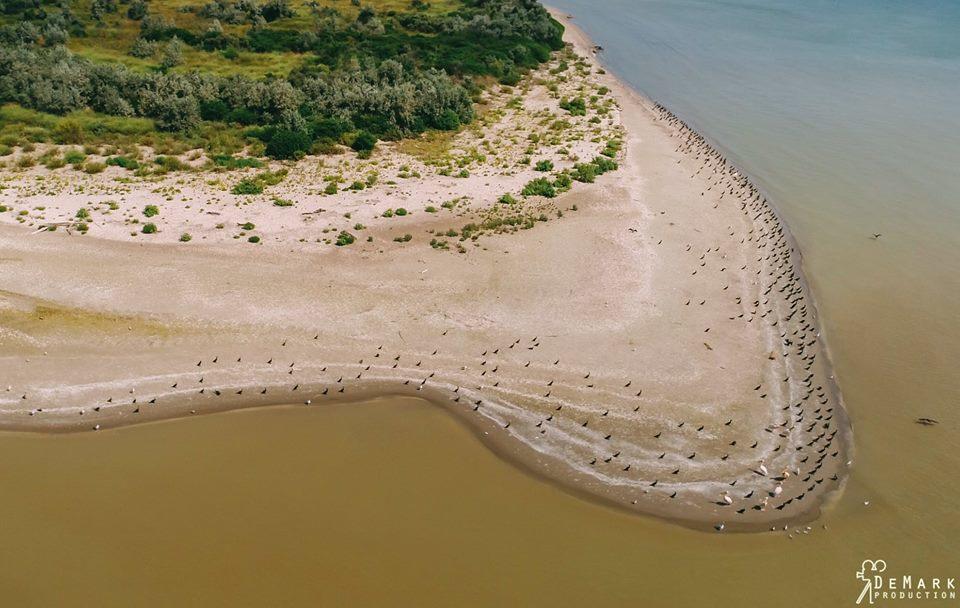 Baza Otdyha Primor'E Hotell Primorskoje Exteriör bild